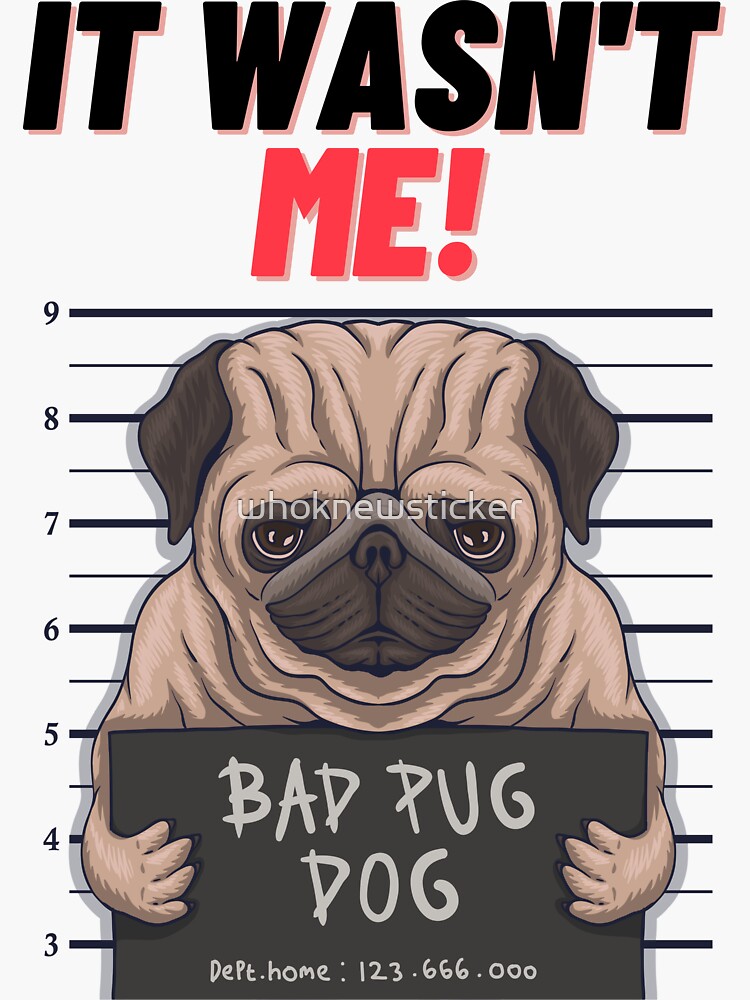 Bad pug best sale