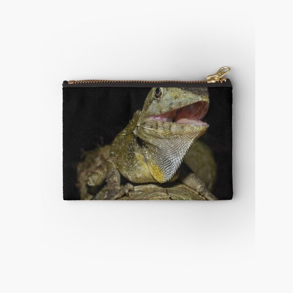 Item preview, Southern Angle-Headed Dragon (Hypsilurus spinipes) designed and sold by herpetofauna.