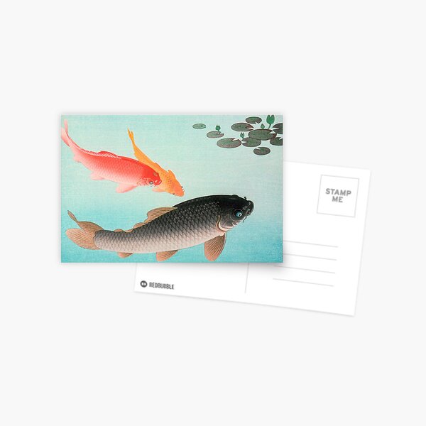 Fish Postcards for Sale