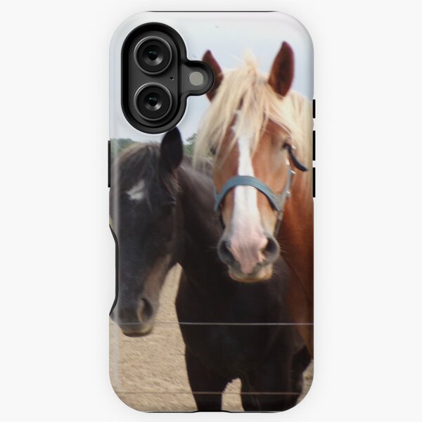 Aperçu de l'œuvre Gros plan d'un cheval noir et d'un cheval rouge créée et vendue par AlicesArtistry.
