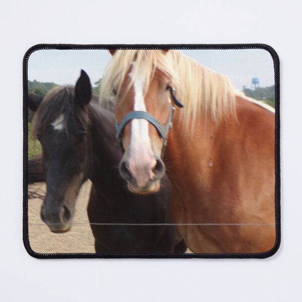 Item preview, Close up of a black horse and a red horse designed and sold by AlicesArtistry.