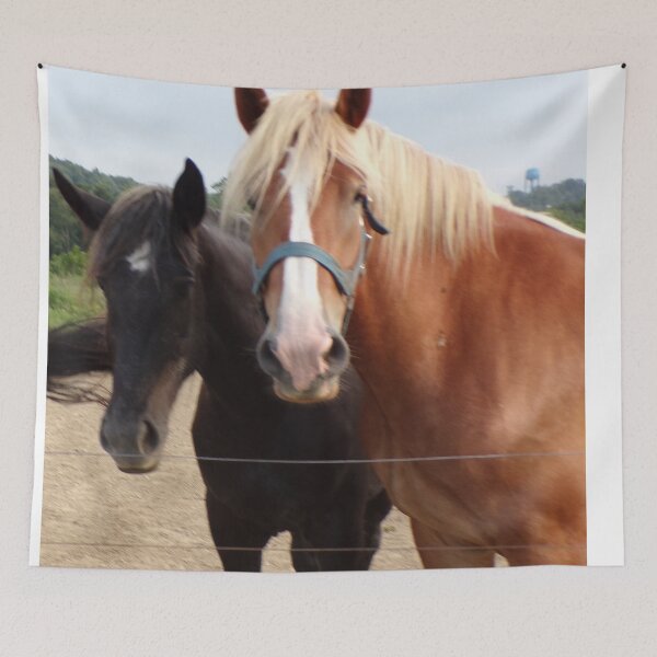 Item preview, Close up of a black horse and a red horse designed and sold by AlicesArtistry.