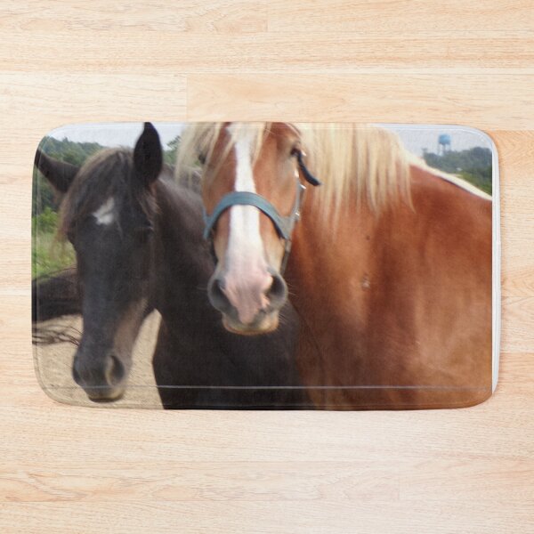 Item preview, Close up of a black horse and a red horse designed and sold by AlicesArtistry.