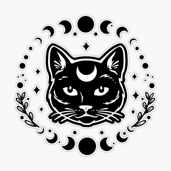 Black cat icon and moon phase' Sticker