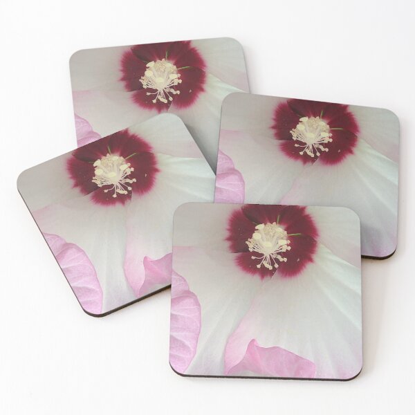 Item preview, Chinese Hibiscus designed and sold by KMHPhotography.