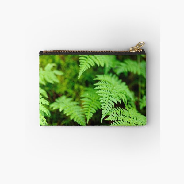 Item preview, Ferns designed and sold by Stephen Beattie.