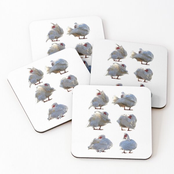 Item preview, Muscovy duck morning ritual designed and sold by Marju Rose.