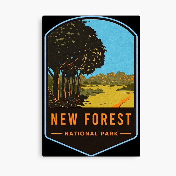 New Forest National Park Canvas Print
