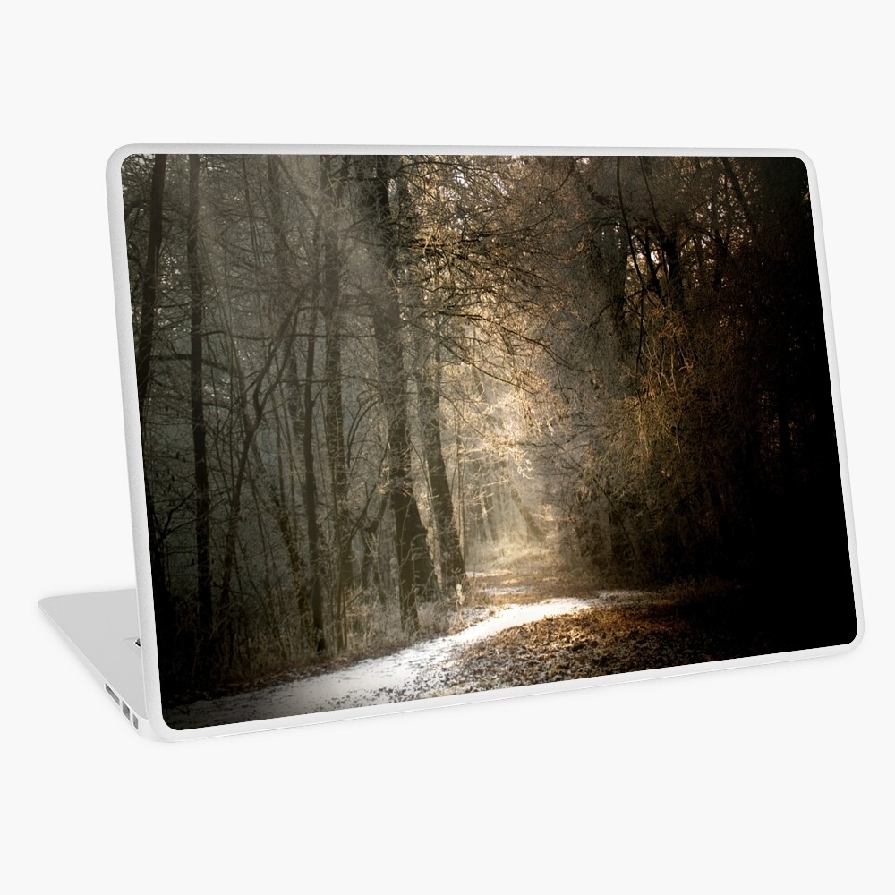 Last snow? Laptop Skin