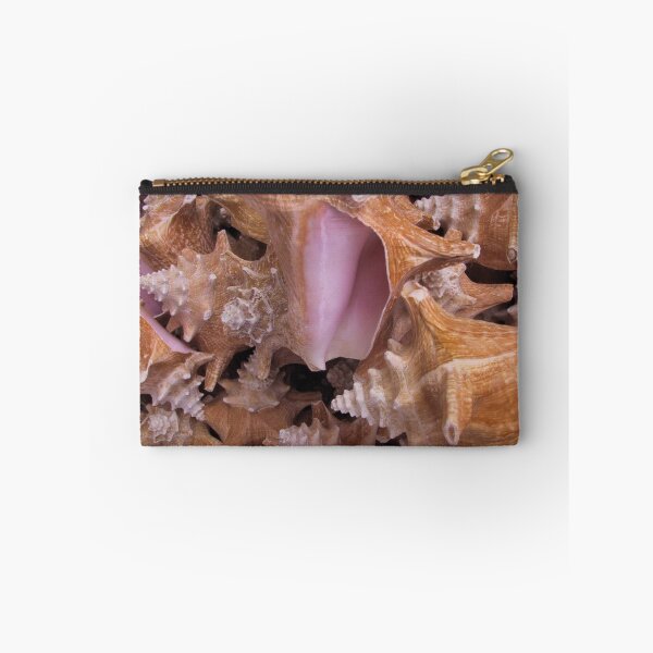 Item preview, Queen Conch Shells designed and sold by May Lattanzio.