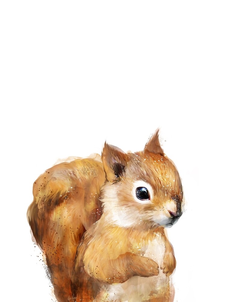 Little Squirrel by AmyHamilton
