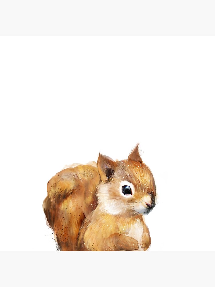 Little Squirrel by AmyHamilton
