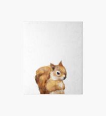Little Squirrel Art Board
