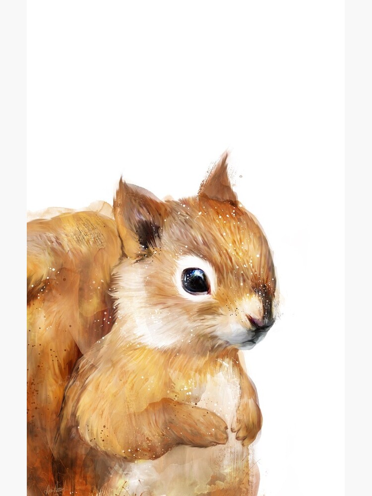 Little Squirrel by AmyHamilton