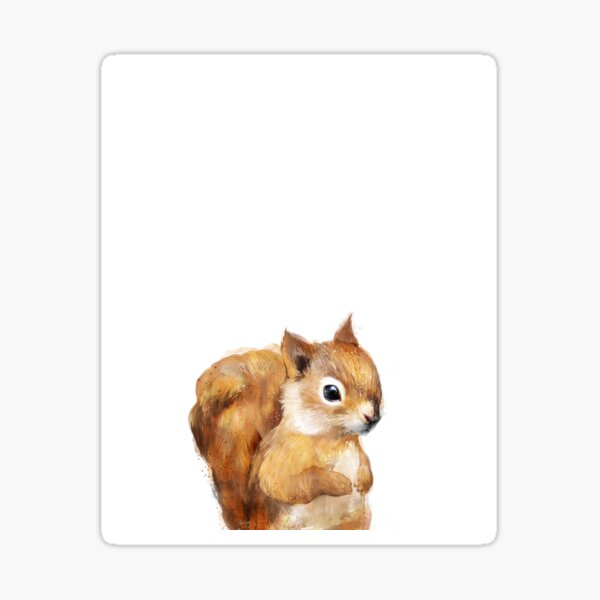 Little Squirrel Sticker