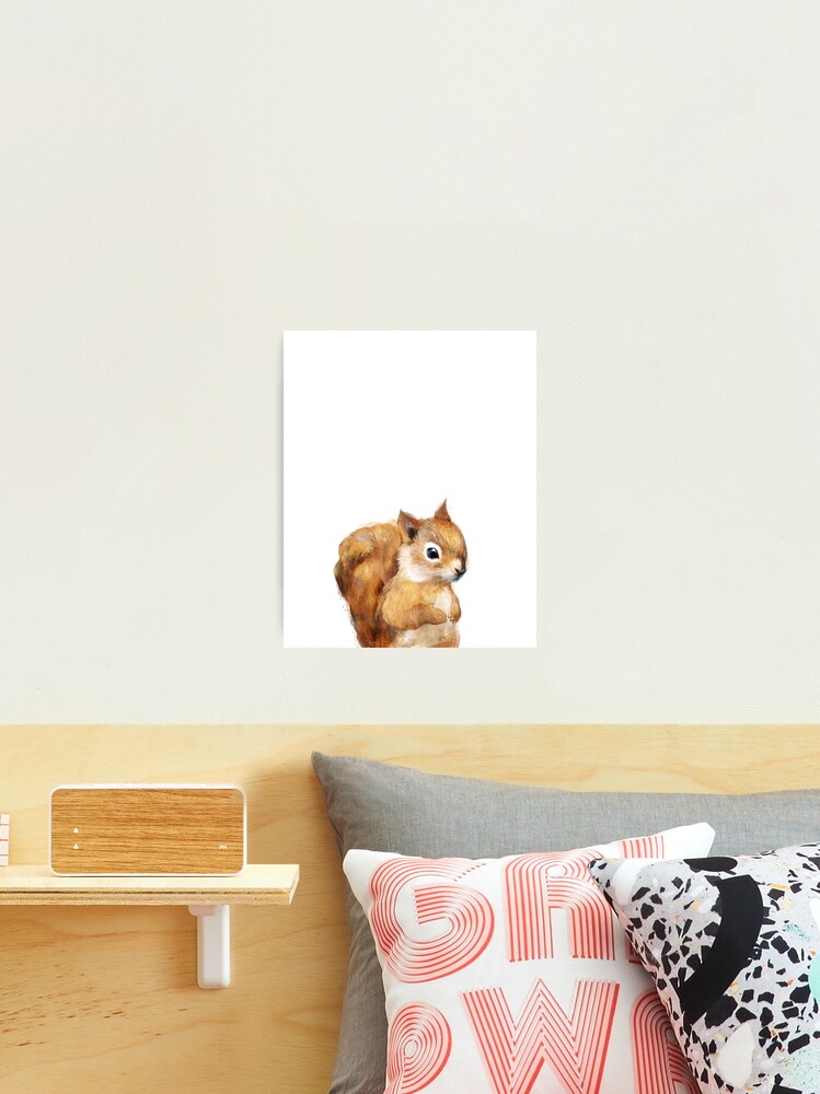 Thumbnail 1 of 3, Photographic Print, Little Squirrel designed and sold by Amy Hamilton.
