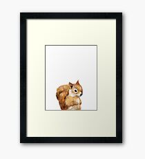 Little Squirrel Framed Print