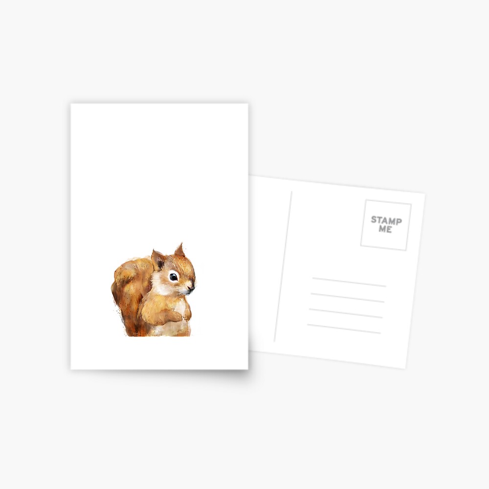 Little Squirrel Postcard