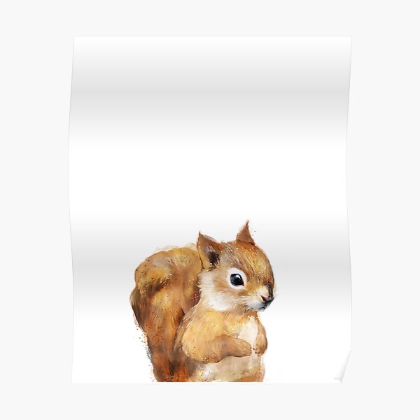 Little Squirrel Poster