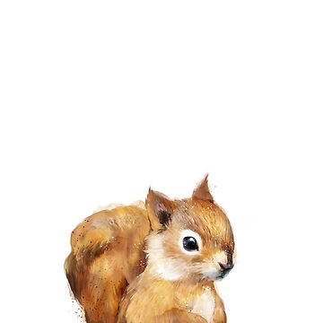 Artwork thumbnail, Little Squirrel by AmyHamilton
