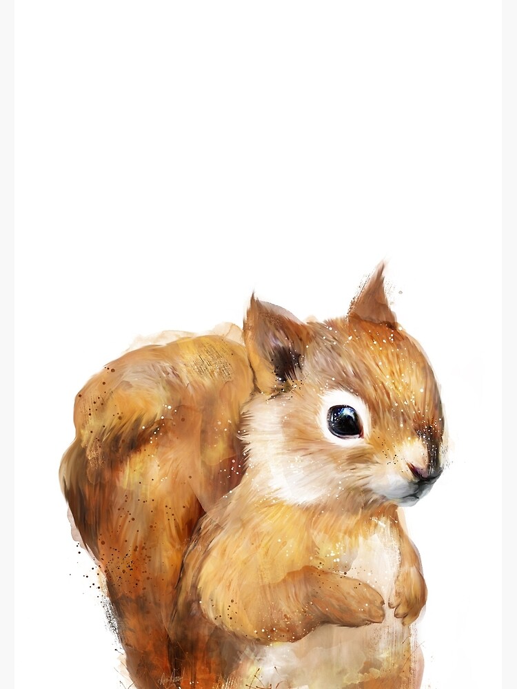 Little Squirrel by AmyHamilton
