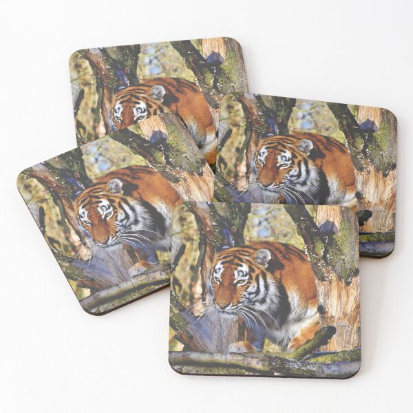Item preview, Morning Prowling Apex Tiger designed and sold by TheWildFlix.
