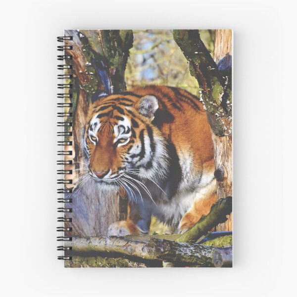 Item preview, Morning Prowling Apex Tiger designed and sold by TheWildFlix.