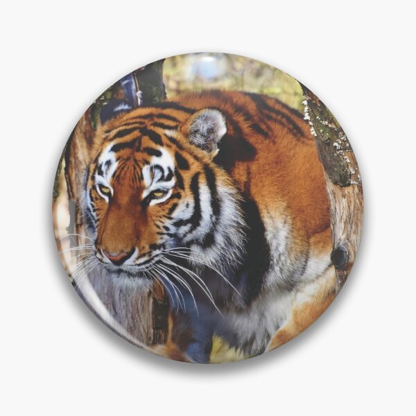 Item preview, Morning Prowling Apex Tiger designed and sold by TheWildFlix.