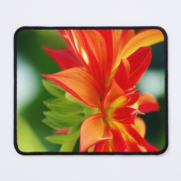 Item preview, Bright Orange and Red Flower designed and sold by Alyce Taylor.