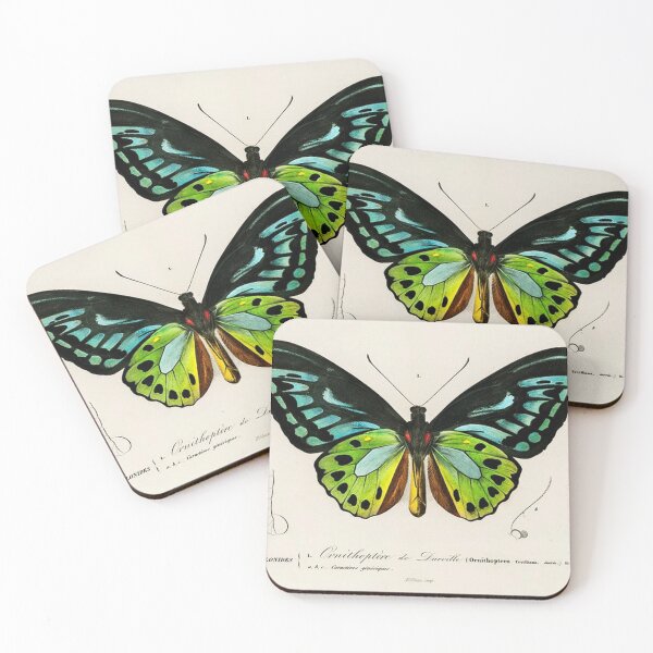Item preview, Magnificent butterfly designed and sold by Artsilk.