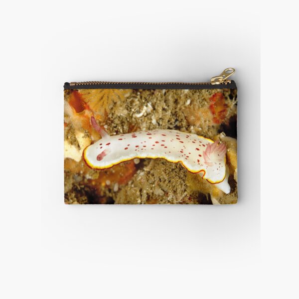 Item preview, Nudibranch - Chromodoris daphne designed and sold by Andrew Trevor-Jones.