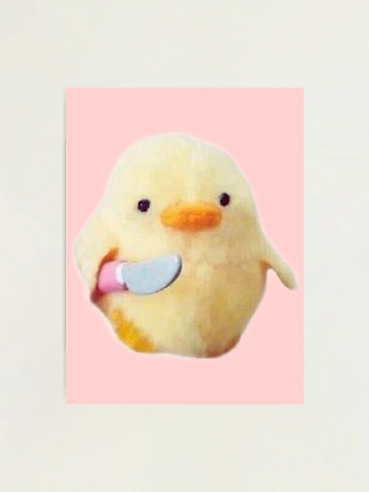 Duck with knife meme Photographic Print for Sale by BlkBearyDesigns Redbubble
