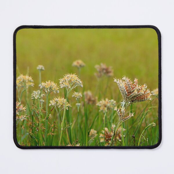 Item preview, Wildflowers on Okefenokee Prairie designed and sold by KbytesOfJax Outdoor and Nature.