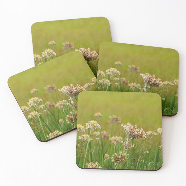 Item preview, Wildflowers on Okefenokee Prairie designed and sold by KbytesOfJax Outdoor and Nature.