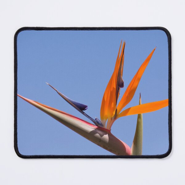 Item preview, Strelitzia designed and sold by Zina Stromberg.