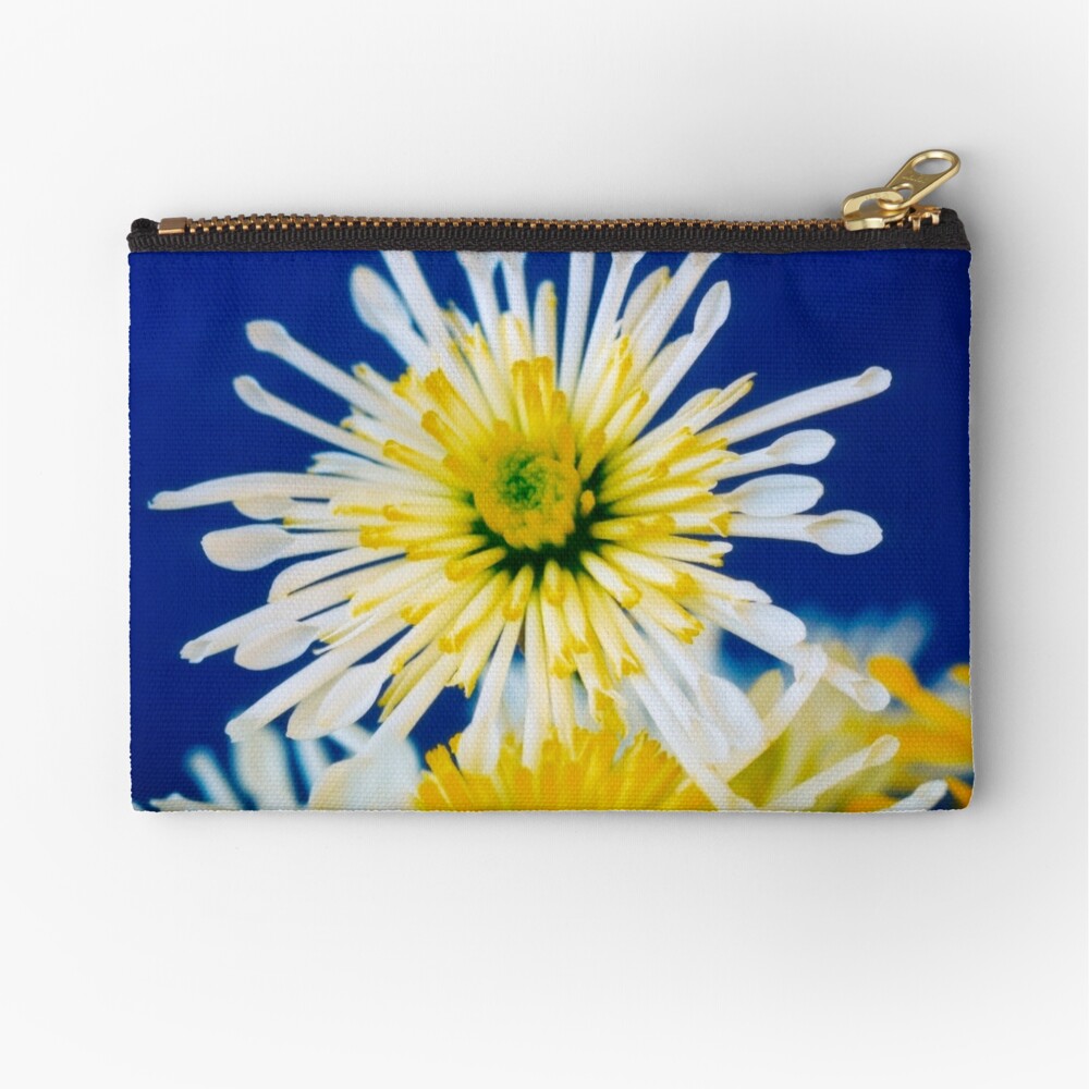 One Above Zipper Pouch