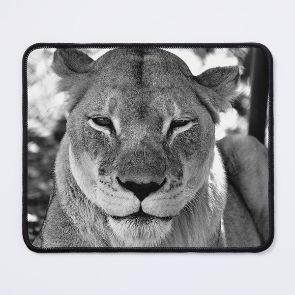 Item preview, Amani 1 BW designed and sold by Linda  Hammond.
