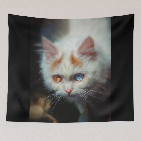 Item preview, Odd-Eyed Persian Kitten designed and sold by BonniePhantasm.