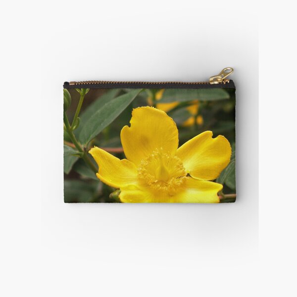 Item preview, Hypericum Calycinum designed and sold by WatscapePhoto.