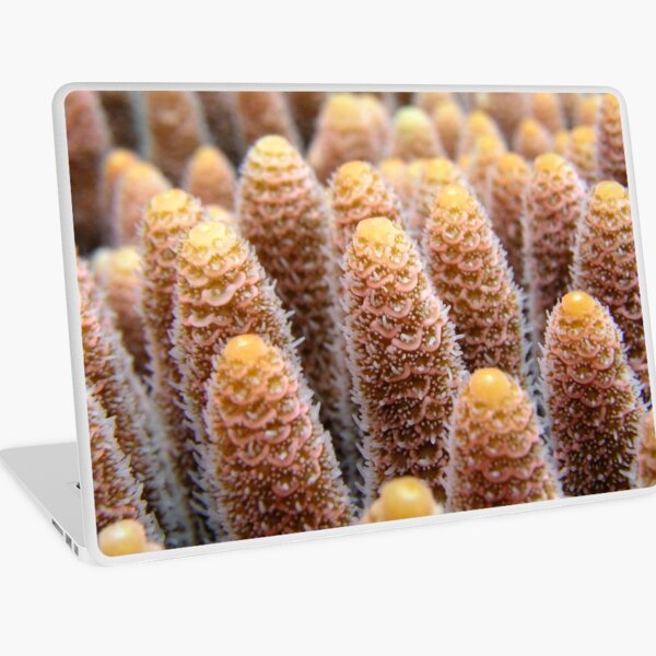 Towers Laptop Skin