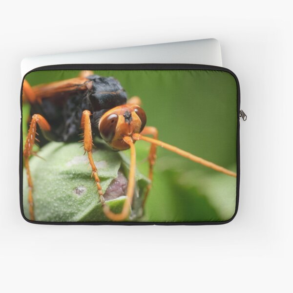 Orange Spider Wasp Laptop Sleeve