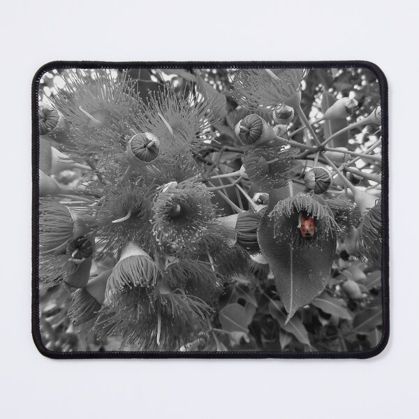 Item preview, Spot the Bee designed and sold by Yolanda Caporn Art.