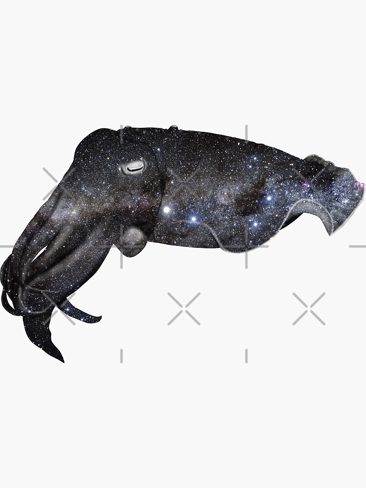 Thumbnail 3 of 3, Sticker, Galaxy Cuttlefish designed and sold by KristalStittle.