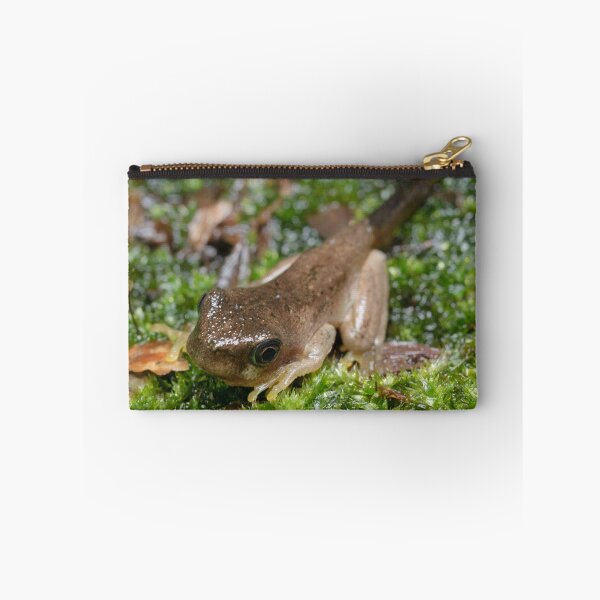 Item preview, Peron's Tree Froglet designed and sold by Andrew Trevor-Jones.