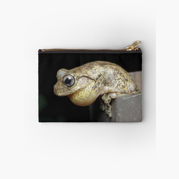 Item preview, Calling Peron's Tree Frog designed and sold by Andrew Trevor-Jones.