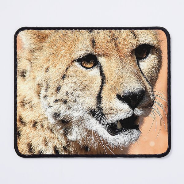 Item preview, Cheetah Monarto Zoo designed and sold by Linda Hammond.