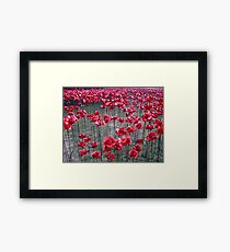 Poppies At The Tower Of London Framed Print
