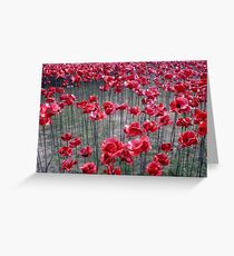 Poppies At The Tower Of London Greeting Card
