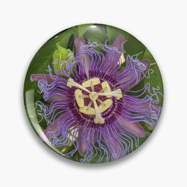 Item preview, Passiflora or passion Flower designed and sold by iloveplantsalot.