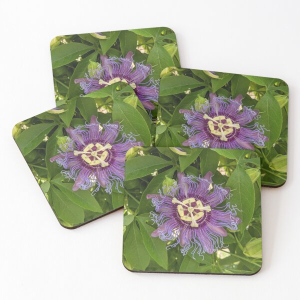 Item preview, Passiflora or passion Flower designed and sold by iloveplantsalot.